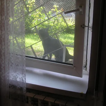 ゲストハウス A-klimatyzacja Kawalerka Mala Halczyna 9 Do Centrum 6 Przystankow